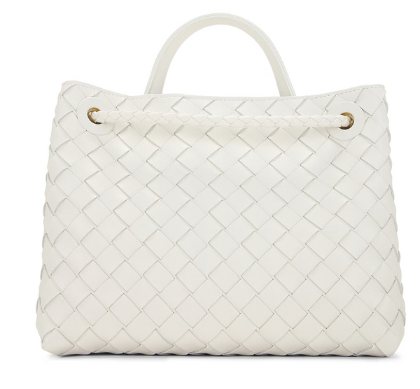 Bottega Veneta Small Andiamo Bag